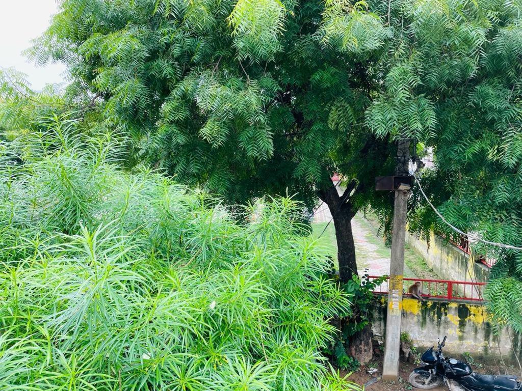 Shree Balaji Homestay Ayodhya Exterior photo